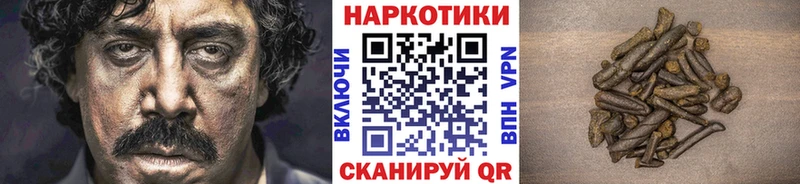 Где купить Пойковский Кокаин  Гашиш  ссылка на мегу зеркало  Конопля 