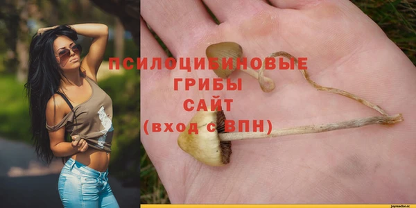 2c-b Абинск
