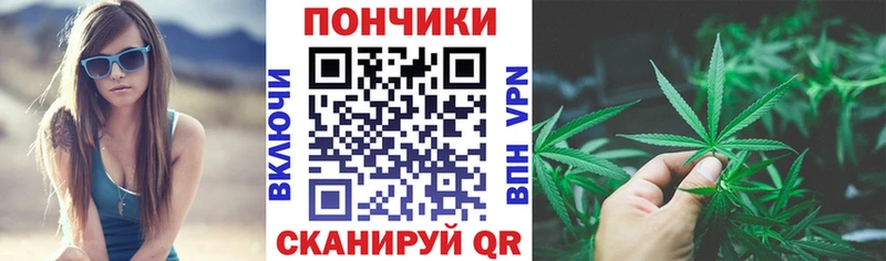 Конопля сатива Пойковский